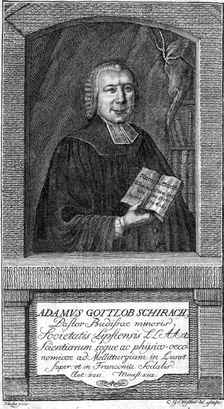 Hadam Bohuchwał Šěrach (1724–1773) běše wuznamny serbski přirodospytnik, pčołar a awtor spisa »Melitto-Theologia. Die Verherrlichung des glorwürdigen Schöpfers aus der wundervolen Biene«.  Wobraz: Serbski kulturny archiw