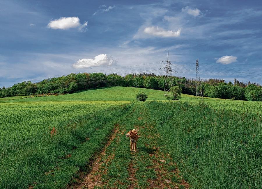 Po skłoninach Mnišonca, »Całtec hród« a panorama
