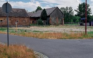 Miłoraz, 10.06.2023, Ležownosć prědku je hižo zrunana, za twarskimi płotami maja so čwaki dalšich ležownosćow dozrunać. Foto: Christiana Piniekowa