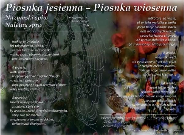 Dolnoserbsko-pólska lyrika ze serbskeju symboliku. Fota: Faksimile z profila Ludmiły Gajczewskieje na Facebooku