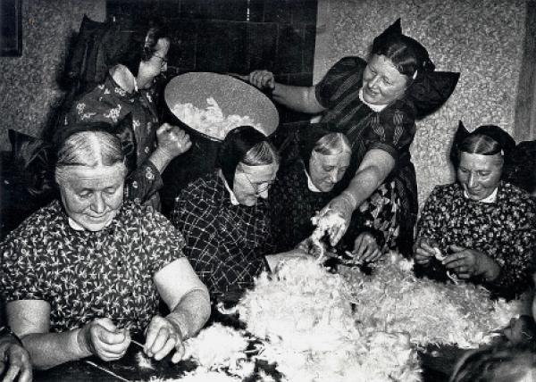 Pjerjodrěće w Bronju (1955) Foto: Kurt Hajna, Serbski kulturny archiw